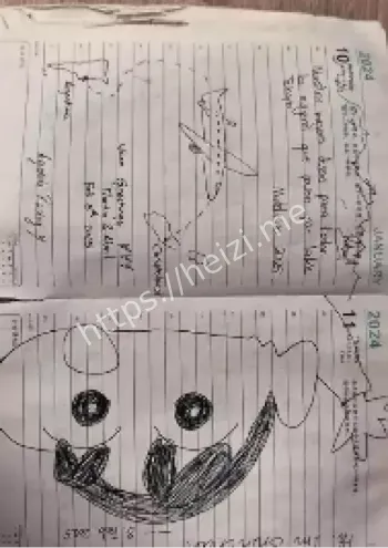 深圳女孩新西兰遗失日记本