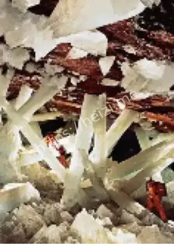 墨西哥奈卡水晶洞